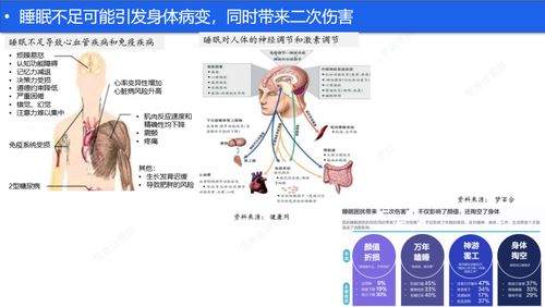 睡眠健康產(chǎn)品淺析 線上助眠服務(wù)與健康咨詢的融合與創(chuàng)新